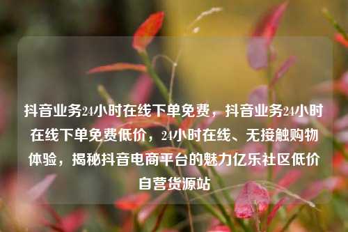 抖音业务24小时在线下单免费，抖音业务24小时在线下单免费低价，24小时在线	、无接触购物体验	，揭秘抖音电商平台的魅力亿乐社区低价自营货源站  第1张