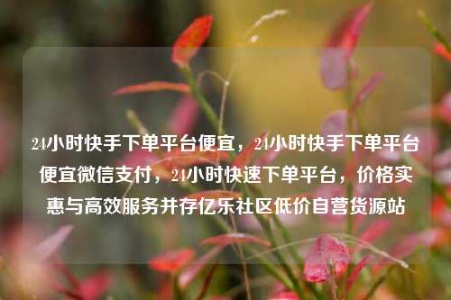 24小时快手下单平台便宜，24小时快手下单平台便宜微信支付	，24小时快速下单平台，价格实惠与高效服务并存亿乐社区低价自营货源站  第1张