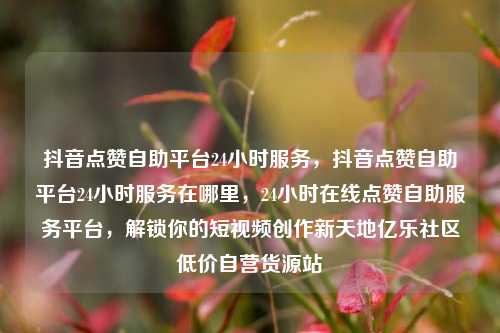 抖音点赞自助平台24小时服务，抖音点赞自助平台24小时服务在哪里，24小时在线点赞自助服务平台	，解锁你的短视频创作新天地亿乐社区低价自营货源站  第1张