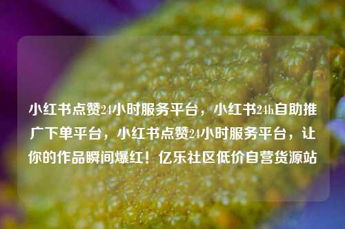小红书点赞24小时服务平台，小红书24h自助推广下单平台	，小红书点赞24小时服务平台，让你的作品瞬间爆红！亿乐社区低价自营货源站  第1张