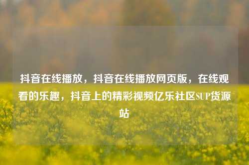 抖音在线播放	，抖音在线播放网页版，在线观看的乐趣，抖音上的精彩视频亿乐社区SUP货源站  第1张