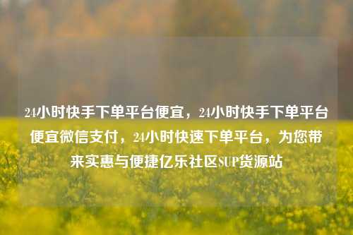 24小时快手下单平台便宜，24小时快手下单平台便宜微信支付	，24小时快速下单平台，为您带来实惠与便捷亿乐社区SUP货源站  第1张