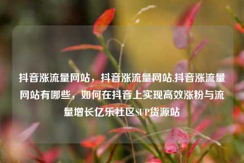 抖音涨流量网站，抖音涨流量网站,抖音涨流量网站有哪些	，如何在抖音上实现高效涨粉与流量增长亿乐社区SUP货源站  第1张