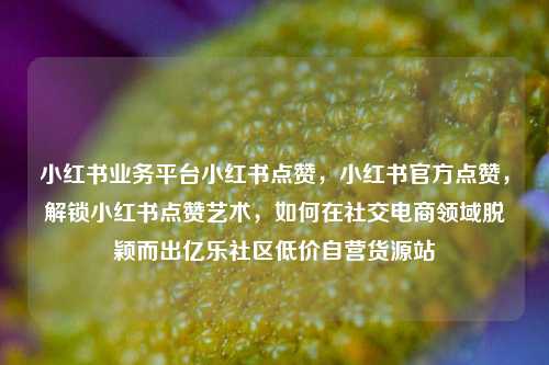 小红书业务平台小红书点赞，小红书官方点赞，解锁小红书点赞艺术	，如何在社交电商领域脱颖而出亿乐社区低价自营货源站  第1张