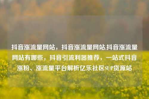 抖音涨流量网站，抖音涨流量网站,抖音涨流量网站有哪些，抖音引流利器推荐	，一站式抖音涨粉	、涨流量平台解析亿乐社区SUP货源站  第1张