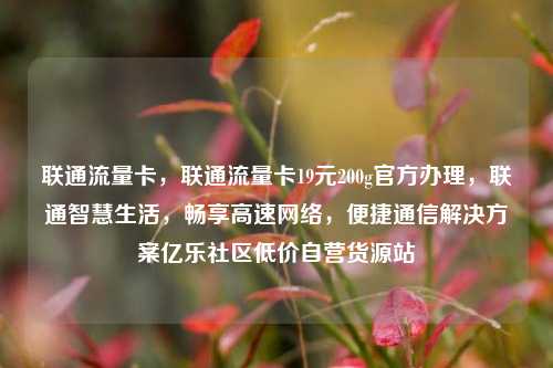 联通流量卡	，联通流量卡19元200g官方办理，联通智慧生活，畅享高速网络	，便捷通信解决方案亿乐社区低价自营货源站  第1张