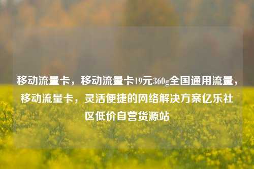 移动流量卡，移动流量卡19元360g全国通用流量，移动流量卡，灵活便捷的网络解决方案亿乐社区低价自营货源站  第1张