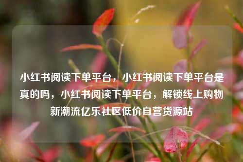 小红书阅读下单平台，小红书阅读下单平台是真的吗，小红书阅读下单平台，解锁线上购物新潮流亿乐社区低价自营货源站  第1张