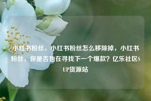 小红书粉丝	，小红书粉丝怎么移除掉，小红书粉丝，你是否也在寻找下一个爆款？亿乐社区SUP货源站  第1张