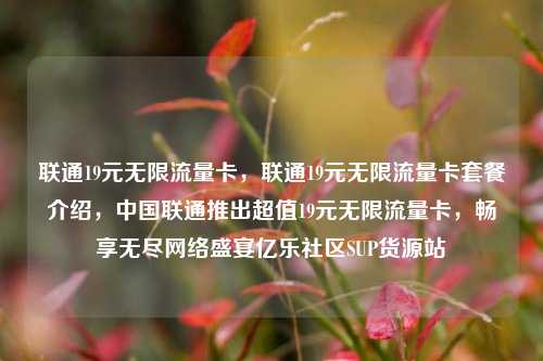 联通19元无限流量卡，联通19元无限流量卡套餐介绍，中国联通推出超值19元无限流量卡	，畅享无尽网络盛宴亿乐社区SUP货源站  第1张