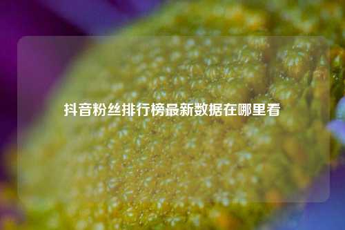 抖音粉丝排行榜最新数据在哪里看  第1张